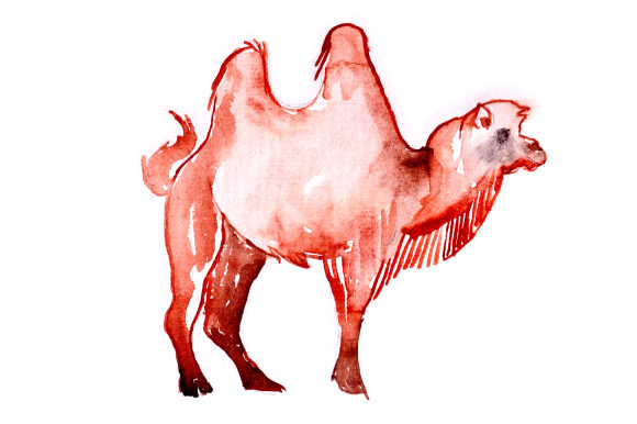 Camel in Watercolor: A Review for Animals Blog Graphics