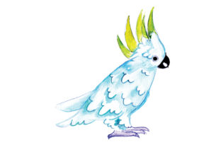 Cockatoo in Watercolor Style: Australia Art for Sellers