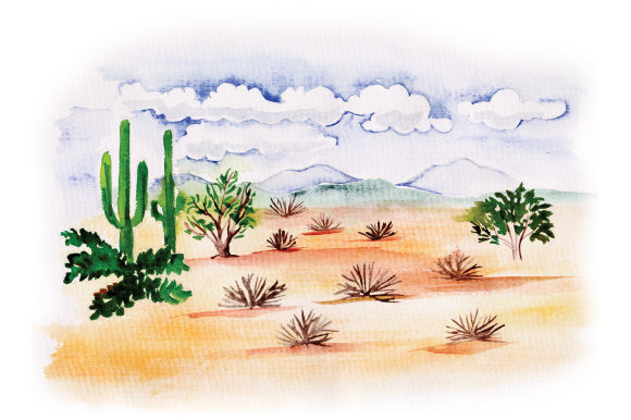 Desert Scene in Watercolor: Nature Amp Review