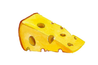 Emmental Cheese Watercolor for Food Amp