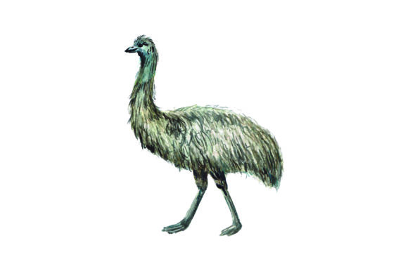 Emu - Watercolor: Australia Craft Design