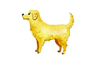 Golden Retriever - Watercolor for Dogs