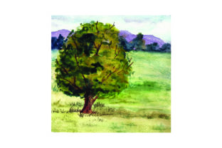 Grasslands in Watercolor: A Nature Amp Review