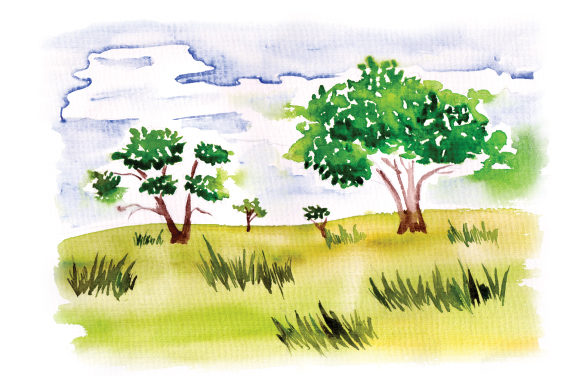 Grasslands Scene in Watercolor by Nature Amp