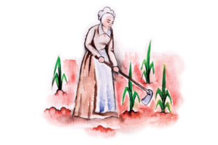 Pilgrim Farming in Watercolor: A Thanksgiving Design Review