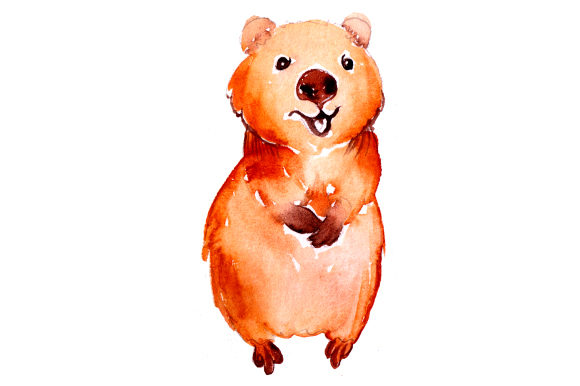 Quokka in Watercolor Style for Australia Projects