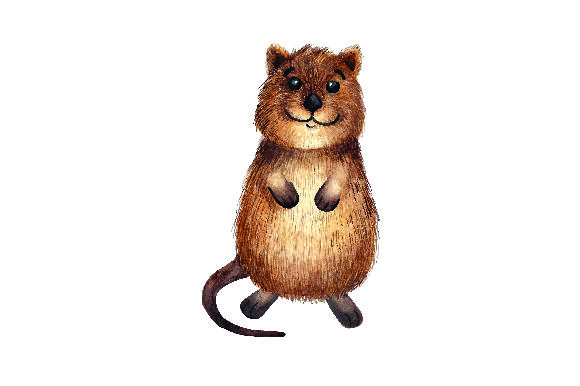 Quokka Watercolor Style: A Designerβs Review