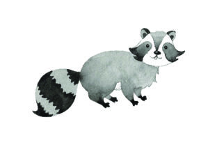 Raccoon Watercolor Animals Design Review