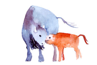 Review: Mom and Baby Buffalos in Watercolor Style