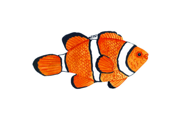 Reviewing Clownfish - Watercolor for Real Embroidery Projects