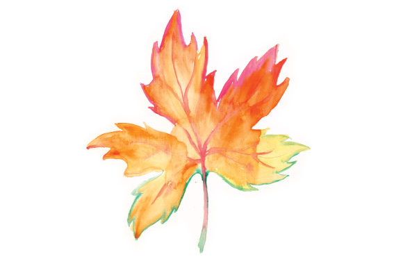 Watercolor Autumn Leaf: A Sellerβs Review for Australia