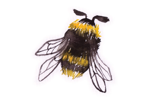 Watercolor Bumblebee: A Designerβs Review of Designs Amp