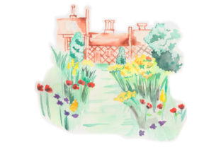 Watercolor Garden: A Nature Amp Review
