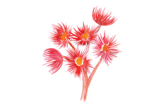 Watercolor Gum Flowers: Australia Design