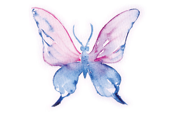 Watercolor Pink and Blue Butterfly Animals