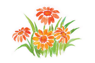 Watercolour Flower Patch: A Spring Branding Review