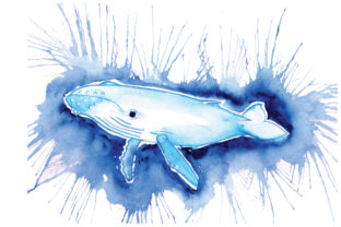 Whale in Paint Splatter: Bold Animals Art