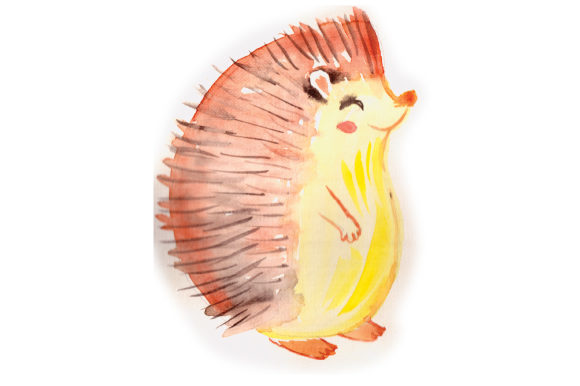 Woodland Animal Watercolor Hedgehog for Animals Content