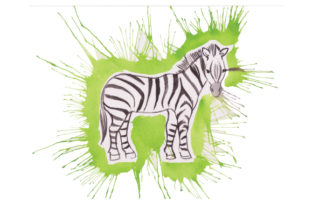 Zebra in Paint Splatter Watercolor Style Animals Review